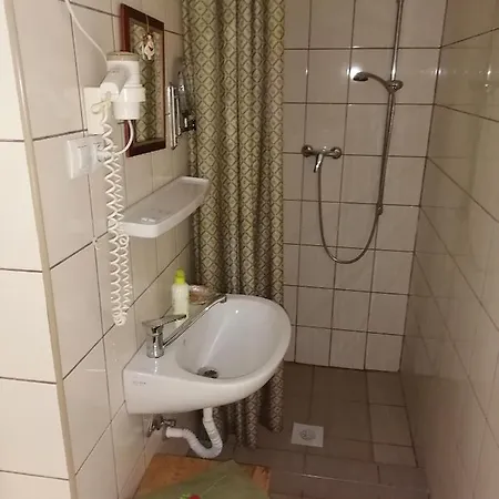 ゲストハウス Mives Vendeghaz