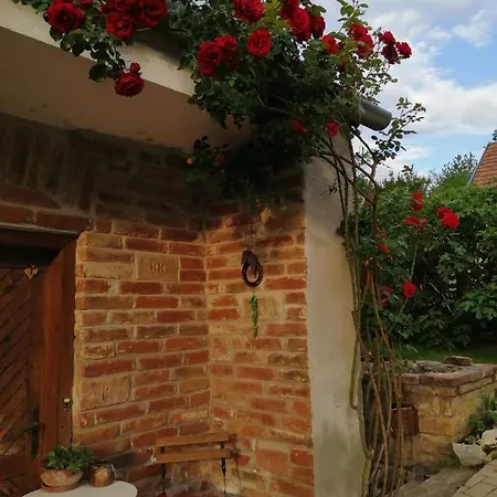 ゲストハウス Mives Vendeghaz Pogány