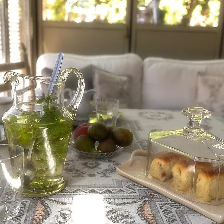 Mives Vendeghaz ゲストハウス