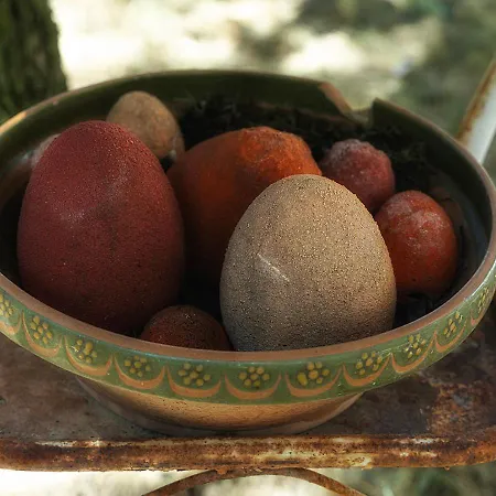 Mives Vendeghaz ゲストハウス Pogány