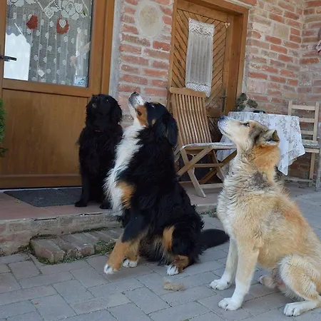 Mives Vendeghaz ゲストハウス Pogány