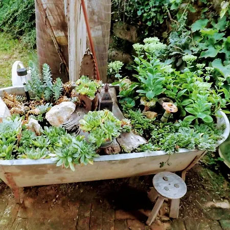 ゲストハウス Mives Vendeghaz Pogány