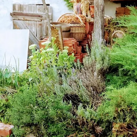 ゲストハウス Mives Vendeghaz 3*