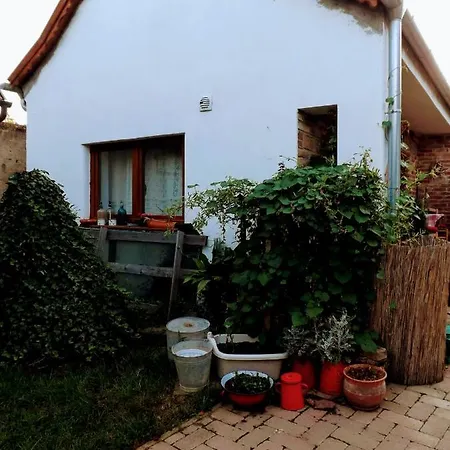 Mives Vendeghaz 3* Pogány