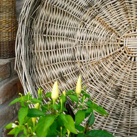 ゲストハウス Mives Vendeghaz