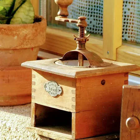 Mives Vendeghaz Pogány