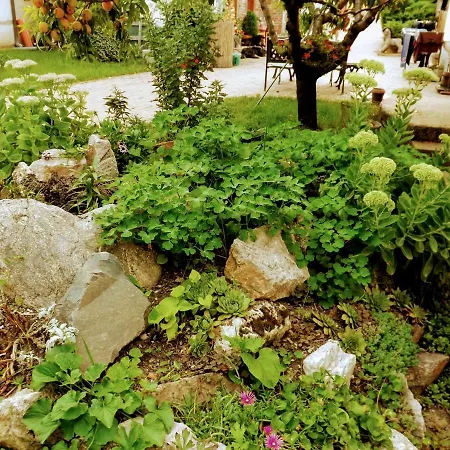 ゲストハウス Mives Vendeghaz Pogány