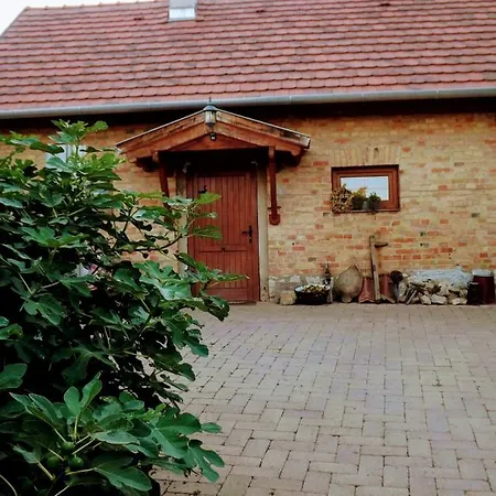 ゲストハウス Mives Vendeghaz