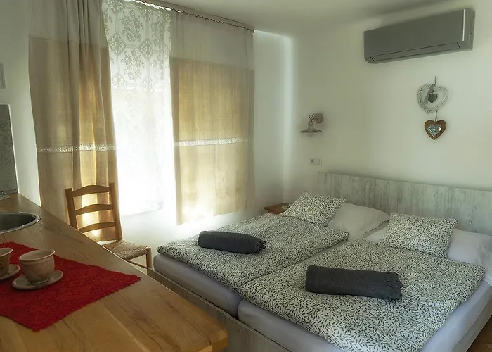 Πανσιόν Mives Vendeghaz Pogány
