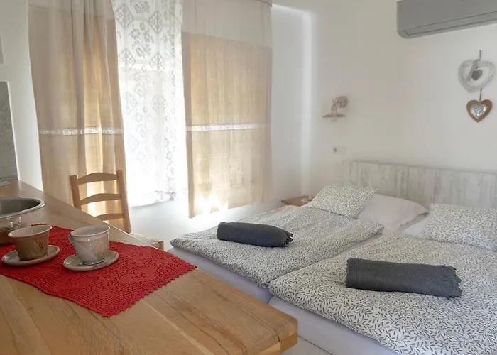 Πανσιόν Mives Vendeghaz 3*