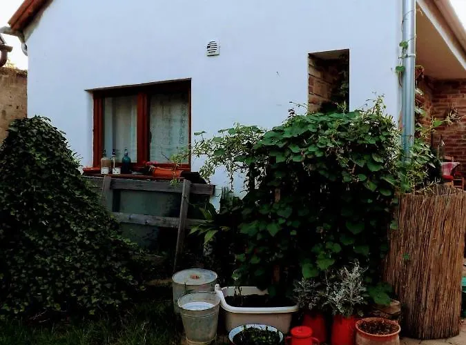 Mives Vendeghaz 3* Pogány