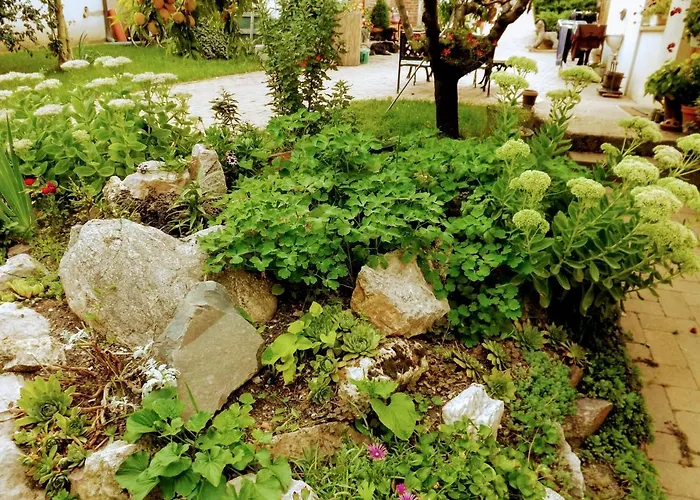 Πανσιόν Mives Vendeghaz Pogány